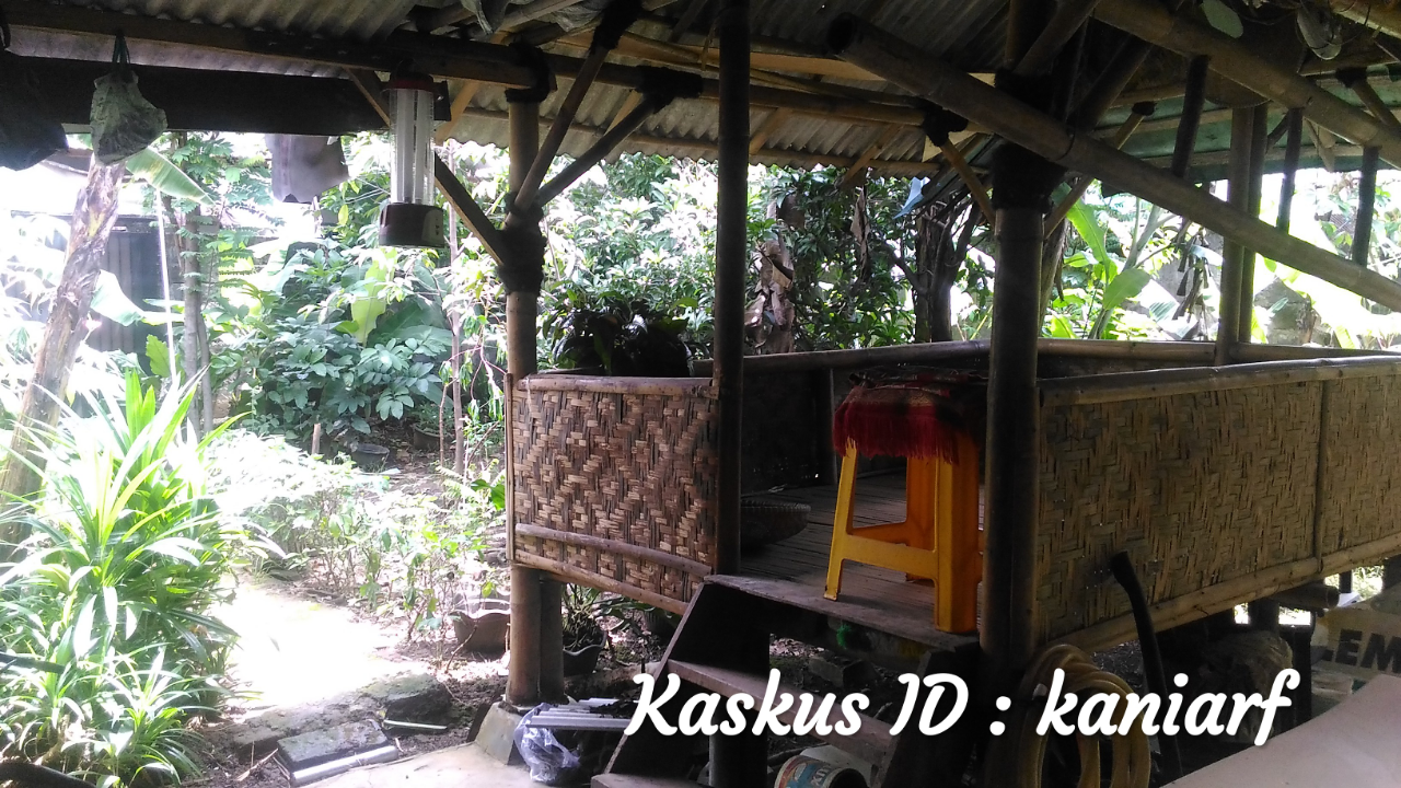 kaskus-image