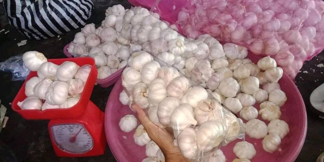 Sakit Gigi Yang Mudah Disembuhkan