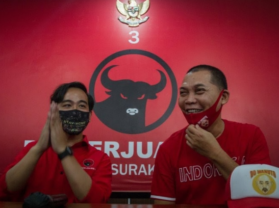 Gibran Rakabuming Berkurban Banyak Sapi, tapi Lupa Jumlahnya