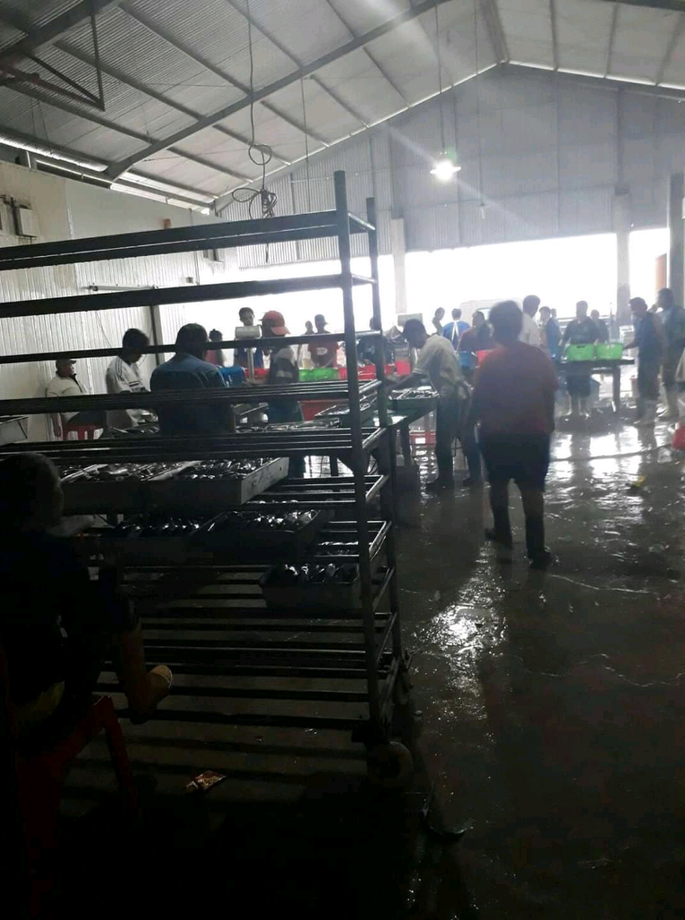 Ternyata Bali Juga Sarangnya Pabrik Ikan Selain Pabrik Garmen Tekstil
