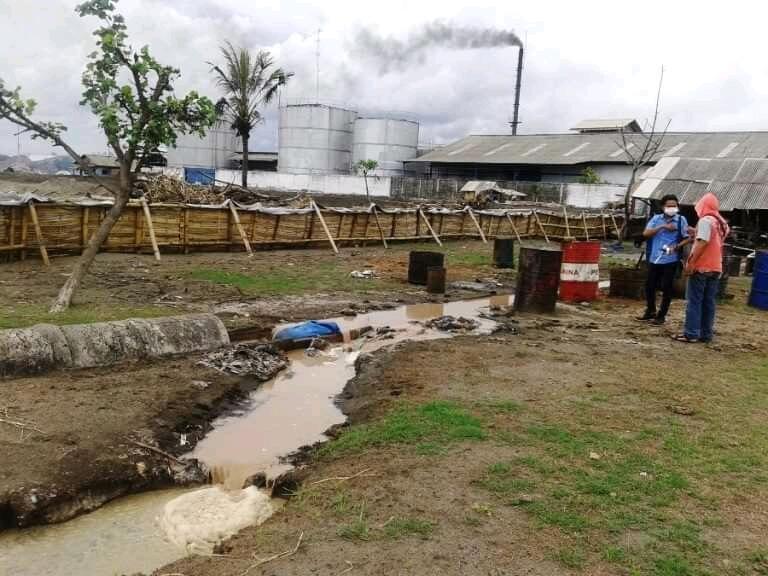 Ternyata Bali Juga Sarangnya Pabrik Ikan Selain Pabrik Garmen Tekstil