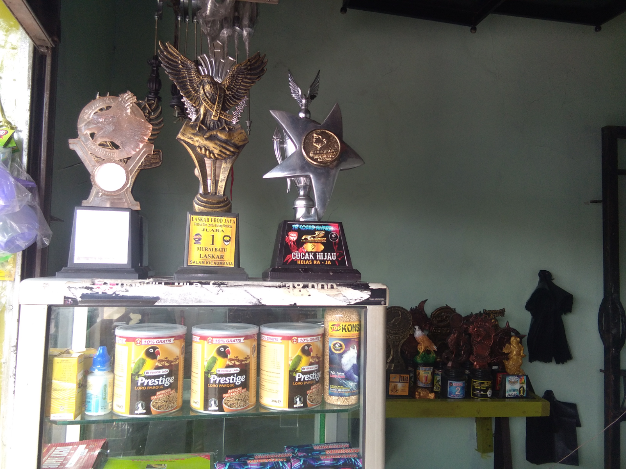Tips Usaha Kios Makanan Burung