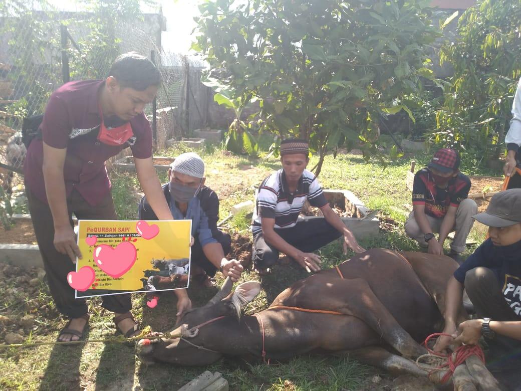 Kurban Ala DPC PKS Ilir Barat Dua di Masa Pandemi