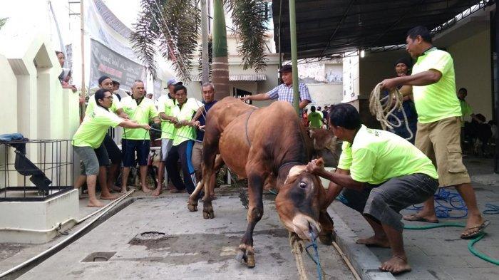 Mampu Berkurban tapi Gak Sadar dengan Hal Sepenting ini. Sayang Sekali!