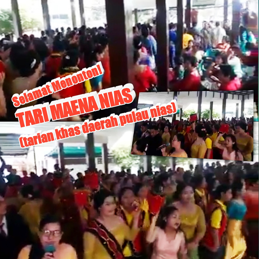 Inilah Maena Tarian Adat Nias