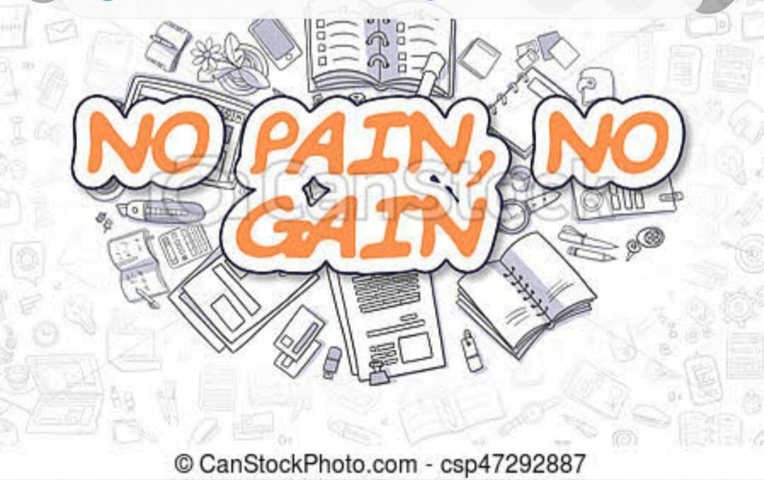 No Pain No Gain