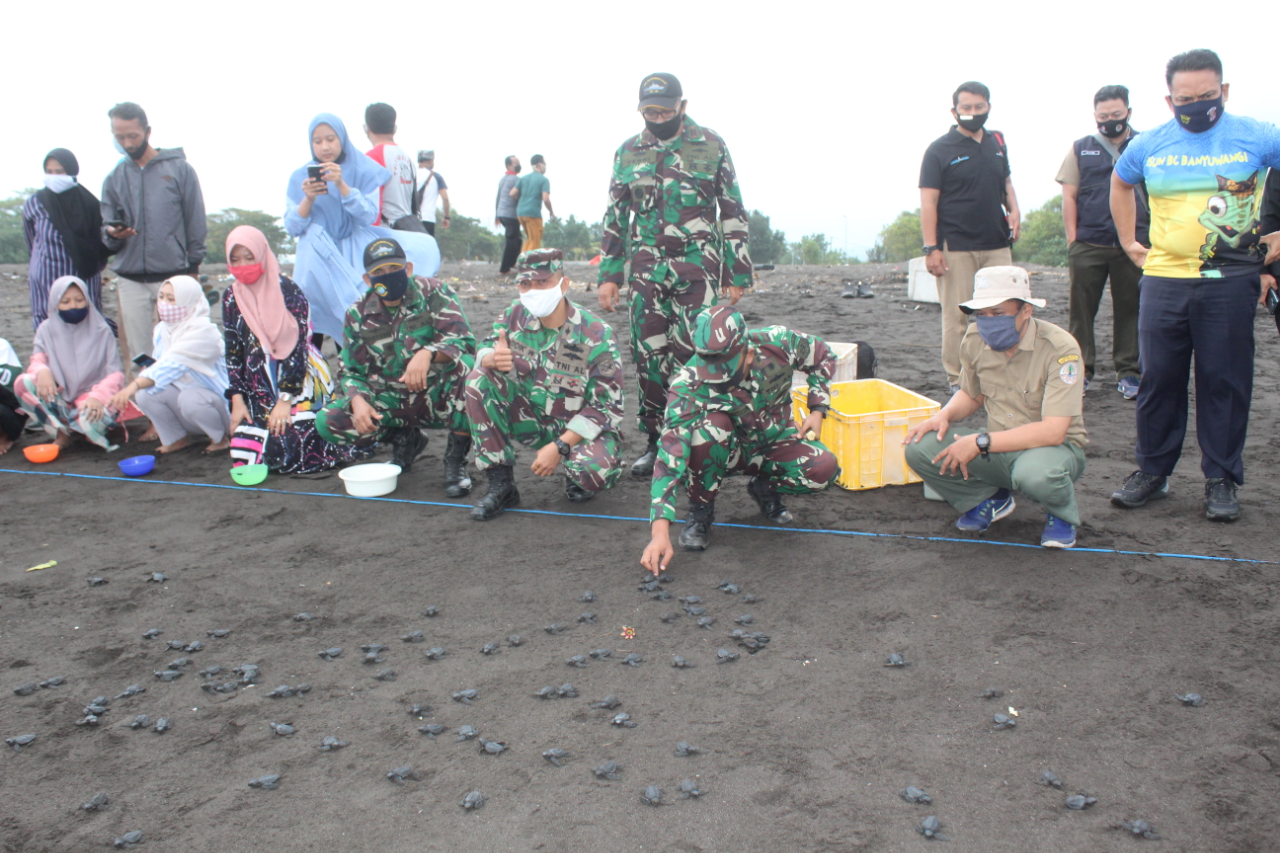 Komandan Lanal Banyuwangi Bersama BBKSDA Jawa Timur Lepas 581 Tukik