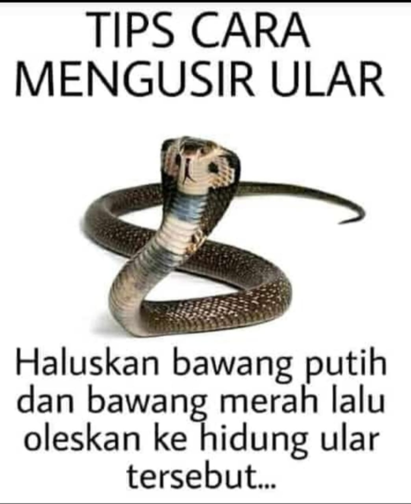 Rocky Gerung Sebut KPU, MK, DPR dan MPR Lembaga Pemenggal Optimisme Publik