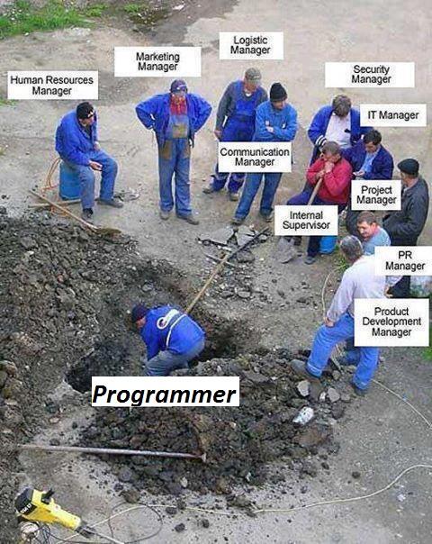 programmer..