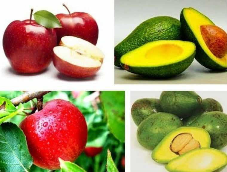 Makanan Yang Bermanfaat Untuk Kesehatan Organ Kewanitaan