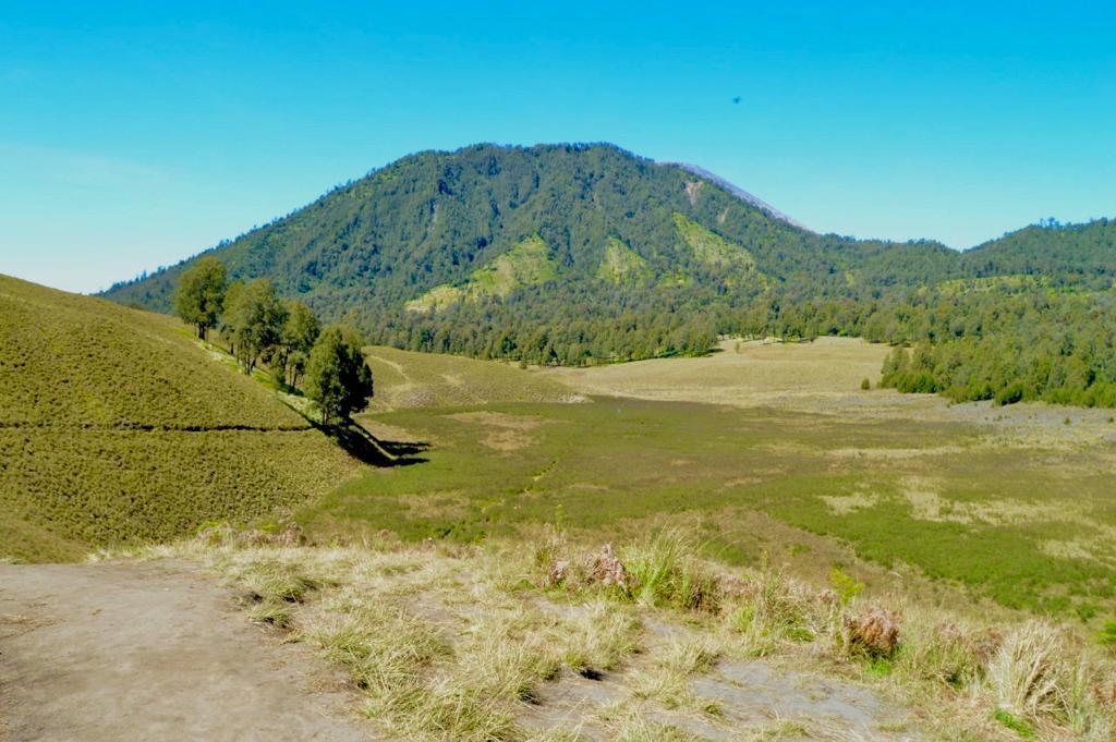 Puncak Abadi Para Dewa - Suka Duka Perjalanan #Mahameru 2017