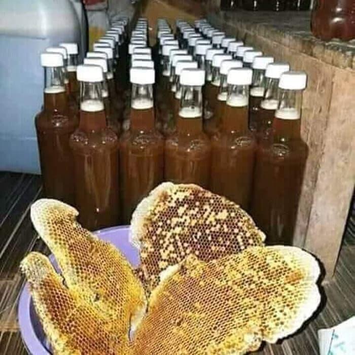 Perbedaan Kandungan dan Manfaat Madu Hutan dengan Madu Biasa