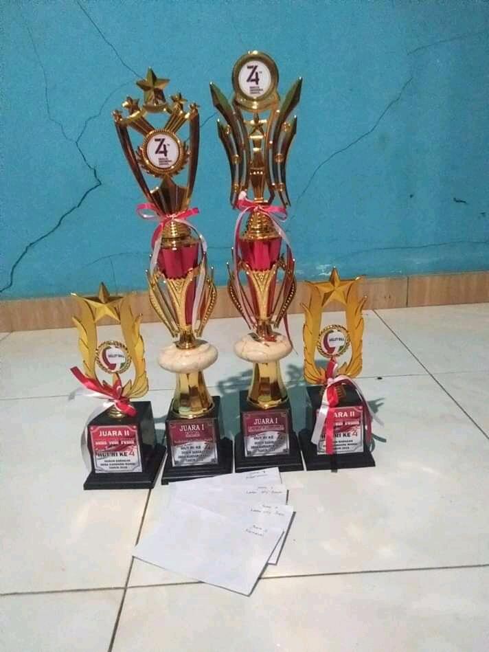 Perjuangan Berujung Manis, Akhirnya Kampungku Menjadi Juara Lomba Keindahan Jalan.