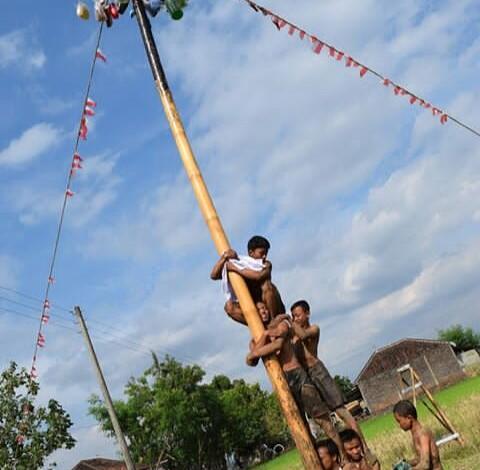 Keseruan Nonton Lomba Panjat Pinang 17 an, Kenangan Tak Terlupa