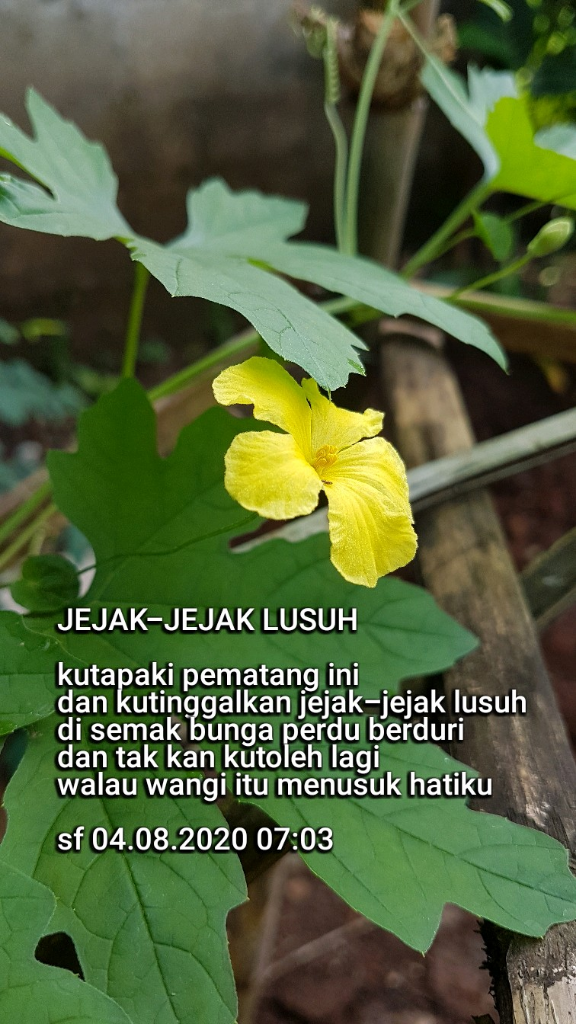 JEJAK-JEJAK LUSUH