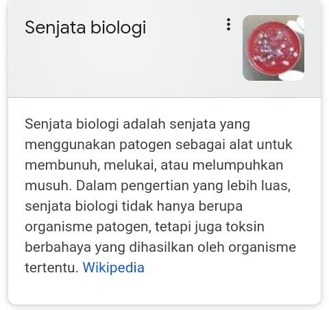 Senjata Kimia dan Biologis Berbahaya