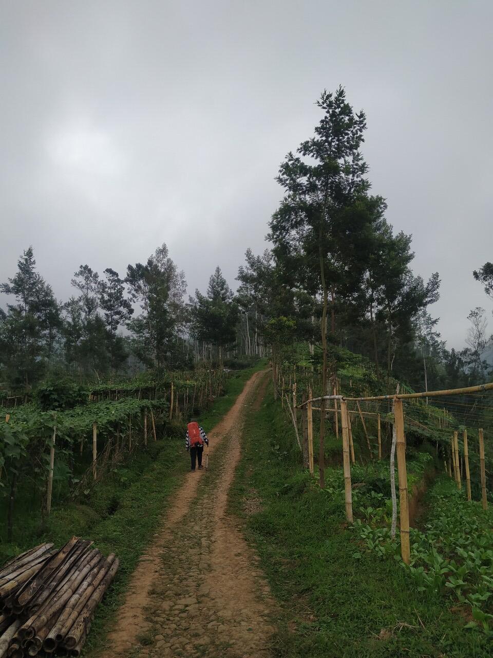 SUARA ANGKLUNG + NESTING DIBUKA-TUTUP - CATPER BISMO via Silandak 10-11 Agustus 2020