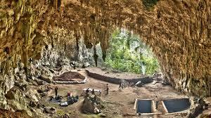 Ras Hobbit di indonesia