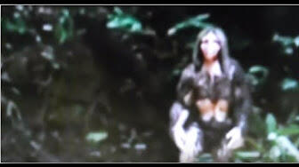 Ras Hobbit di indonesia