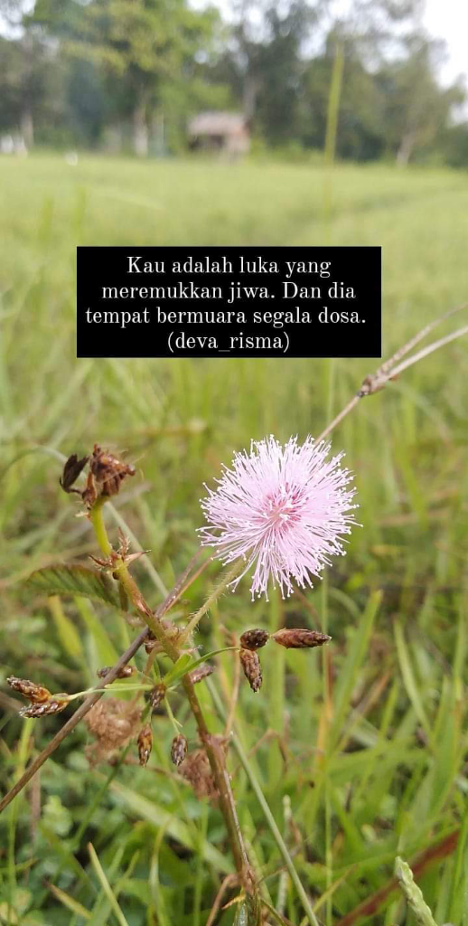 Penggalan Cerbung Handini 