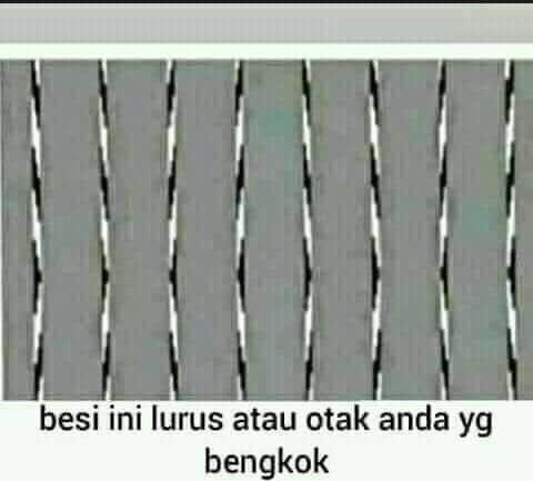 Ilusi Optik. Mata Yang Salah Menangkap