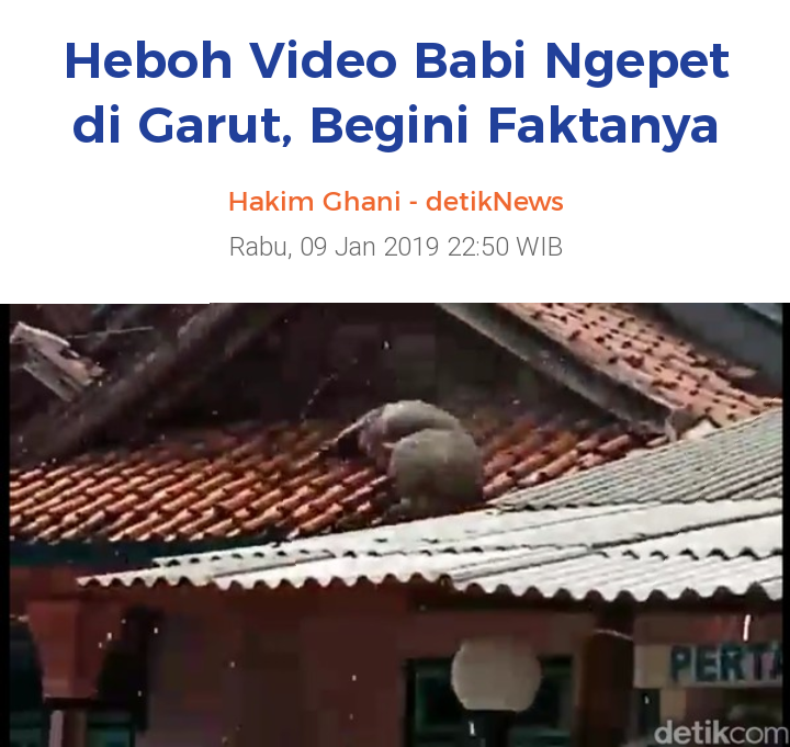 Tega! Viral Anjing Diduga Manusia Jadi-jadian Anak SMP Dikubur Hidup-hidup
