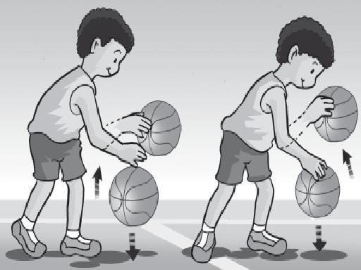 BOLA BASKET