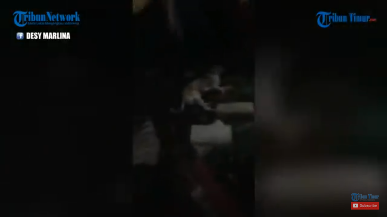 Tega! Viral Anjing Diduga Manusia Jadi-jadian Anak SMP Dikubur Hidup-hidup
