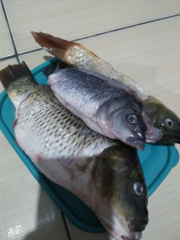 lomba Memancing Pertama HUT Kemerdekaan RI