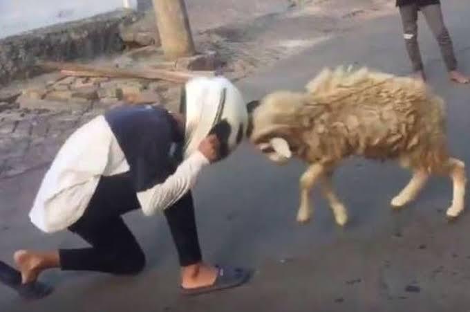 Belajar attitude dari hal-hal kecil yuk....