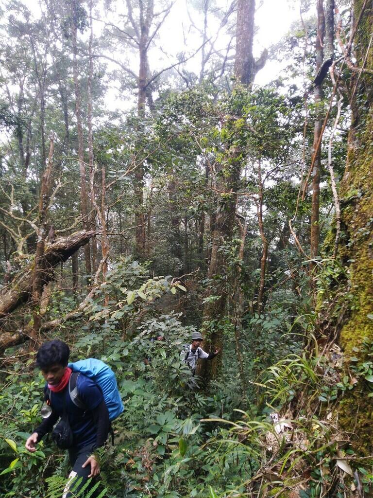 WILIS via KARE,KANDANGAN, KABUPATEN MADIUN