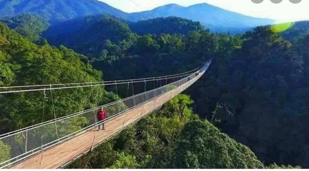 Berlibur di Situ Gunung Suspection Bridge