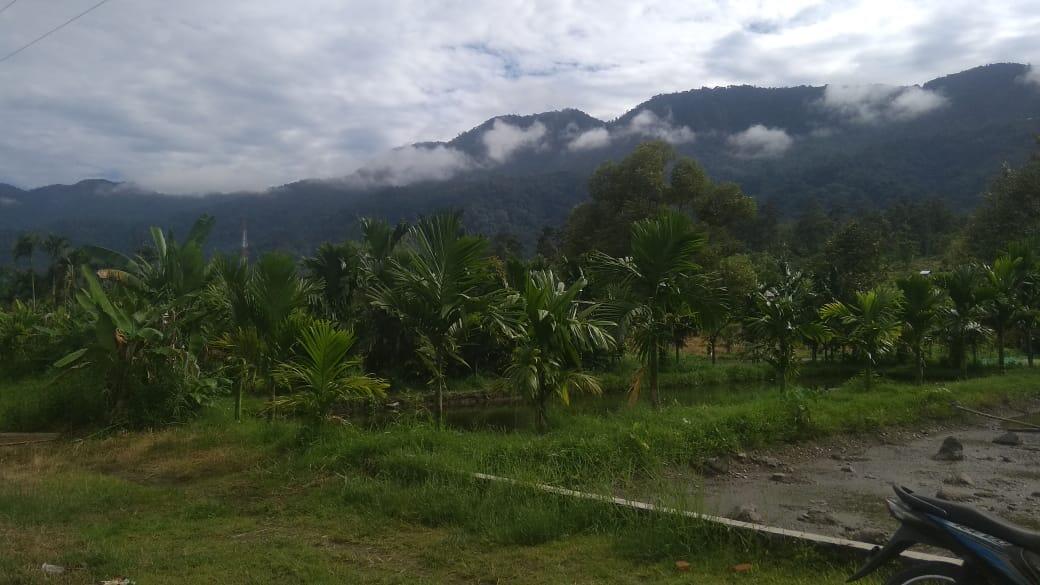 Pulang Kampung Dimasa Liburan Kemerdekaan Dan Pandemi Saat Ini, Apa Bisa?