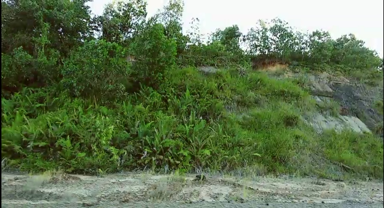 Ada Salju Sekaligus Gurun Pasir di Kota Tarakan, Kalimantan Utara. Nggak Percaya? 