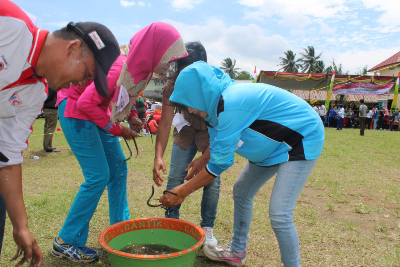 Lomba Agustusan Paling Berkesan yang Pernah Ane Ikuti: Menangkap Belut