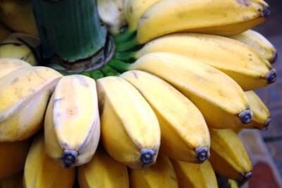 8 Jenis Buah Pisang yang Enak Buat Diolah atau Dimakan Langsung