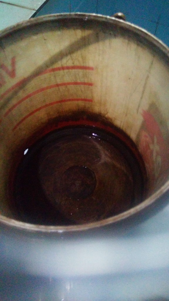 &#91;COCupang&#93; Selain Cantik, Ikan Cupang Mudah dalam Pemeliharaannya, Anti Ribet!
