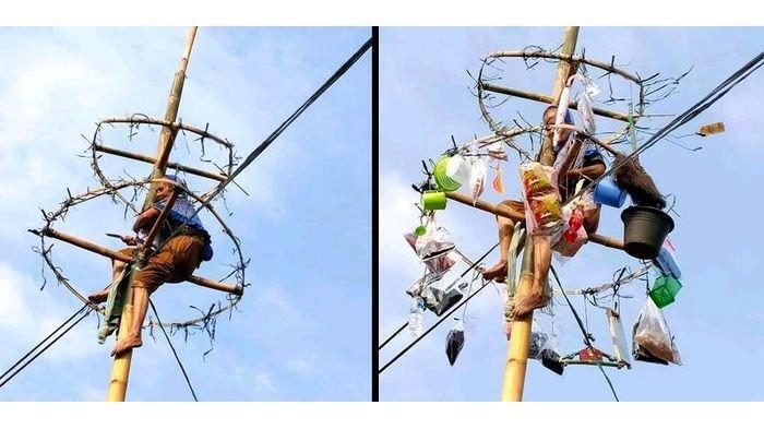 Viral! Nenek 60 Tahun Mengikuti Panjat Pinang, Anak Muda Kalah!