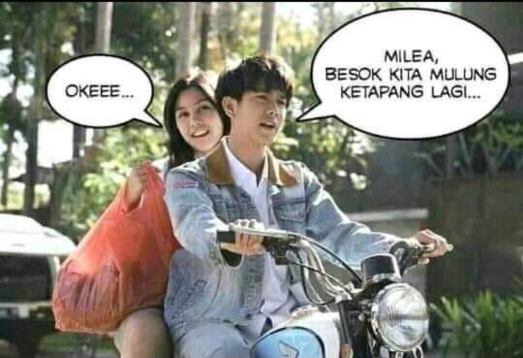 &#91;COCupang&#93;Baru maen cupang ? Nih gan cara ngolah daun ketapang