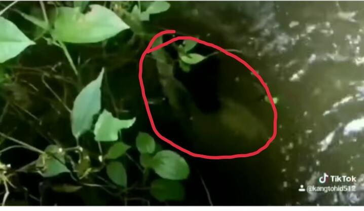 Misterius, Muncul Kuntilanak Terekam Kamera Sedang Berenang di Sungai! Benarkah?