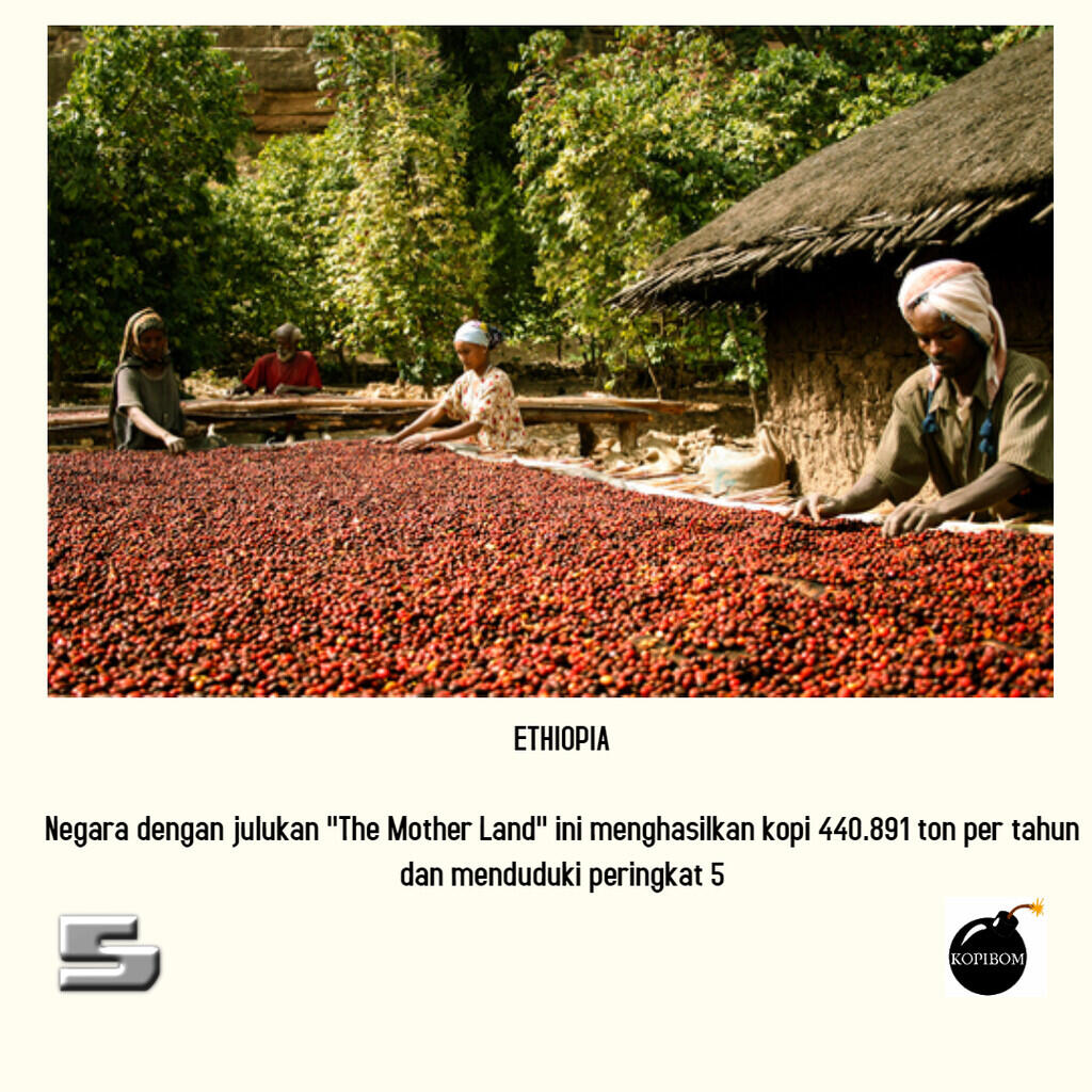 FAKTA KOPI by KOPIBOM.ID - 5 Negara Penghasil Kopi Terbesar Di Dunia