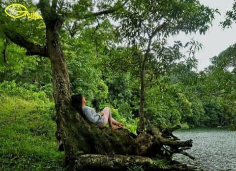 Wisata Alam Bahari yang Eksotik dan Instagramable di Pulau Bawean