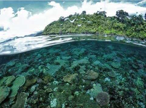 Wisata Alam Bahari yang Eksotik dan Instagramable di Pulau Bawean