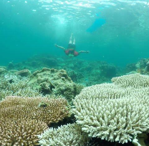 Wisata Alam Bahari yang Eksotik dan Instagramable di Pulau Bawean