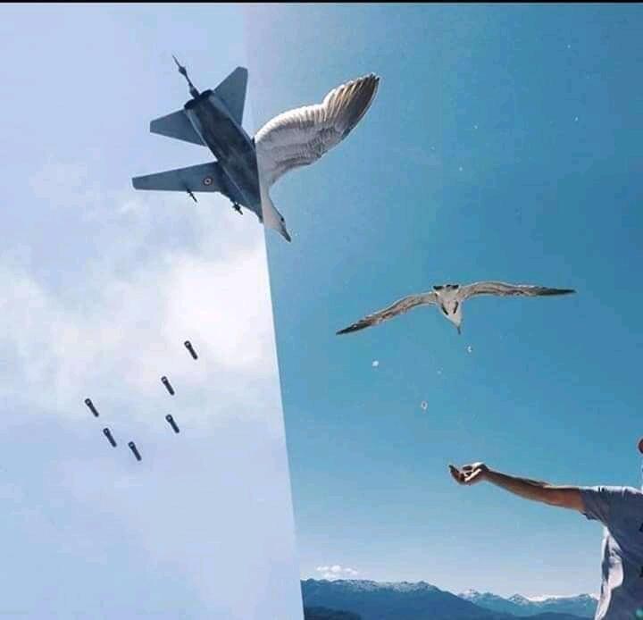 Kolase Foto Karya Ugur Gallenkus 'Menampar Hati', Sudahkah Kita Bersyukur?