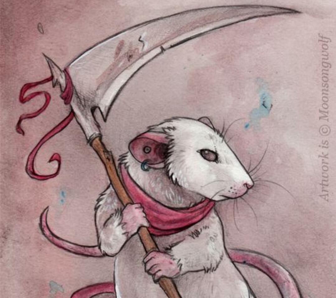 Tikus Got pun Bersuara, Ini Cuma Settingan!