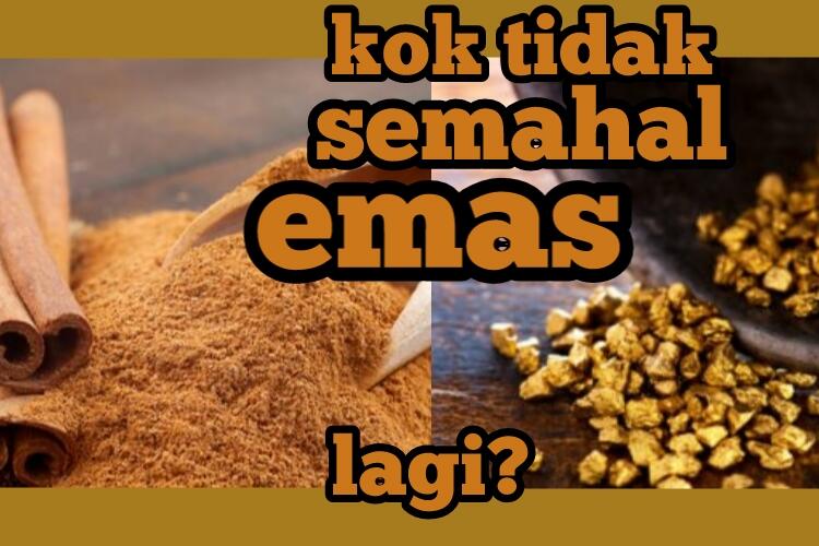 Mengapa Harga Rempah-rempah Tidak Lagi Semahal Emas?