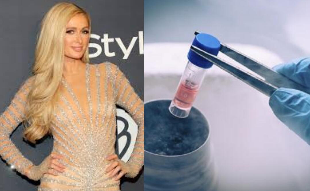 Paris Hilton Ikuti Tren Pembekuan Sel Telur Yang Masih Tabu di Indonesia, Kenapa?