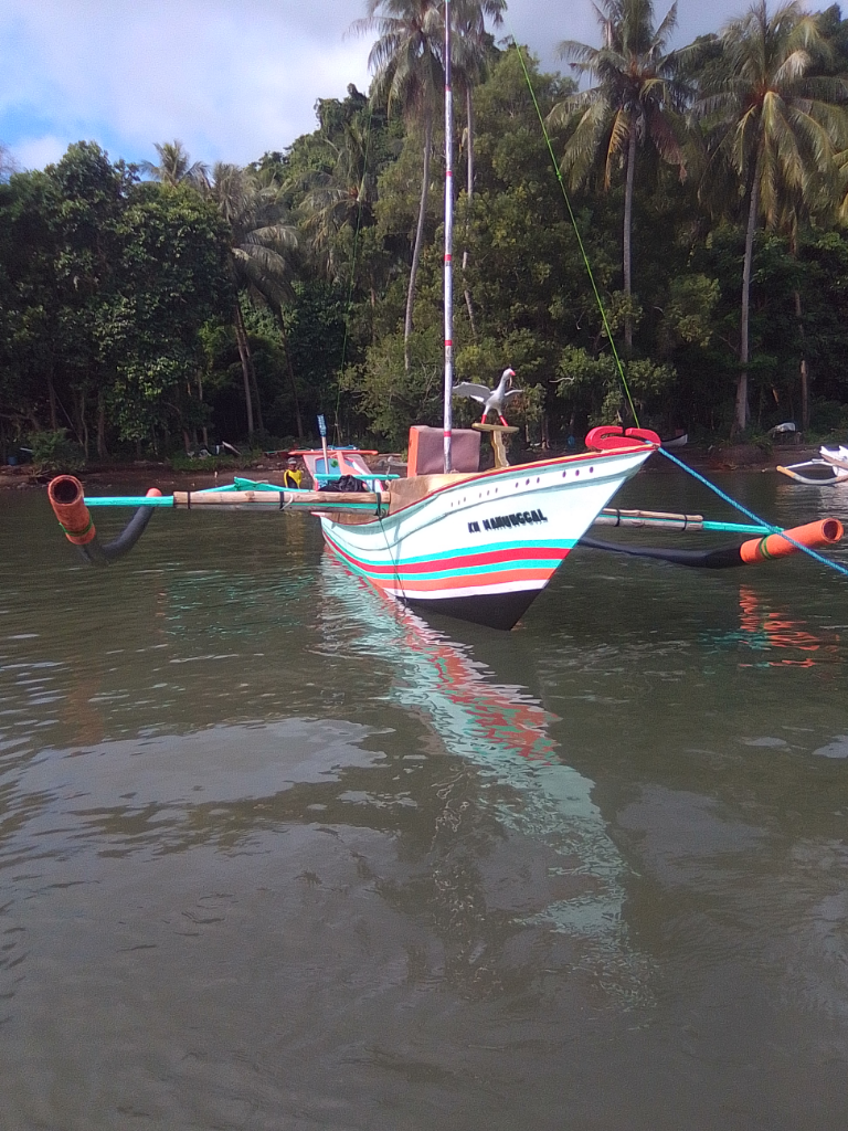 Before After Pandemi Sebagai Nelayan Terhadap Hasil Laut, Dampak dan Cara Mengatasi