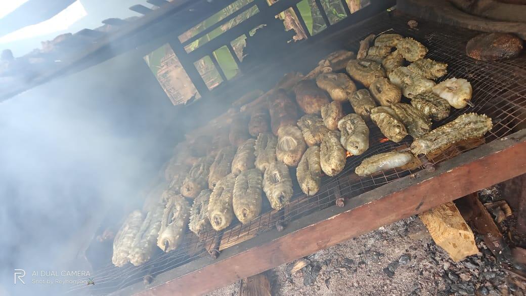 Before After Pandemi Sebagai Nelayan Terhadap Hasil Laut, Dampak dan Cara Mengatasi